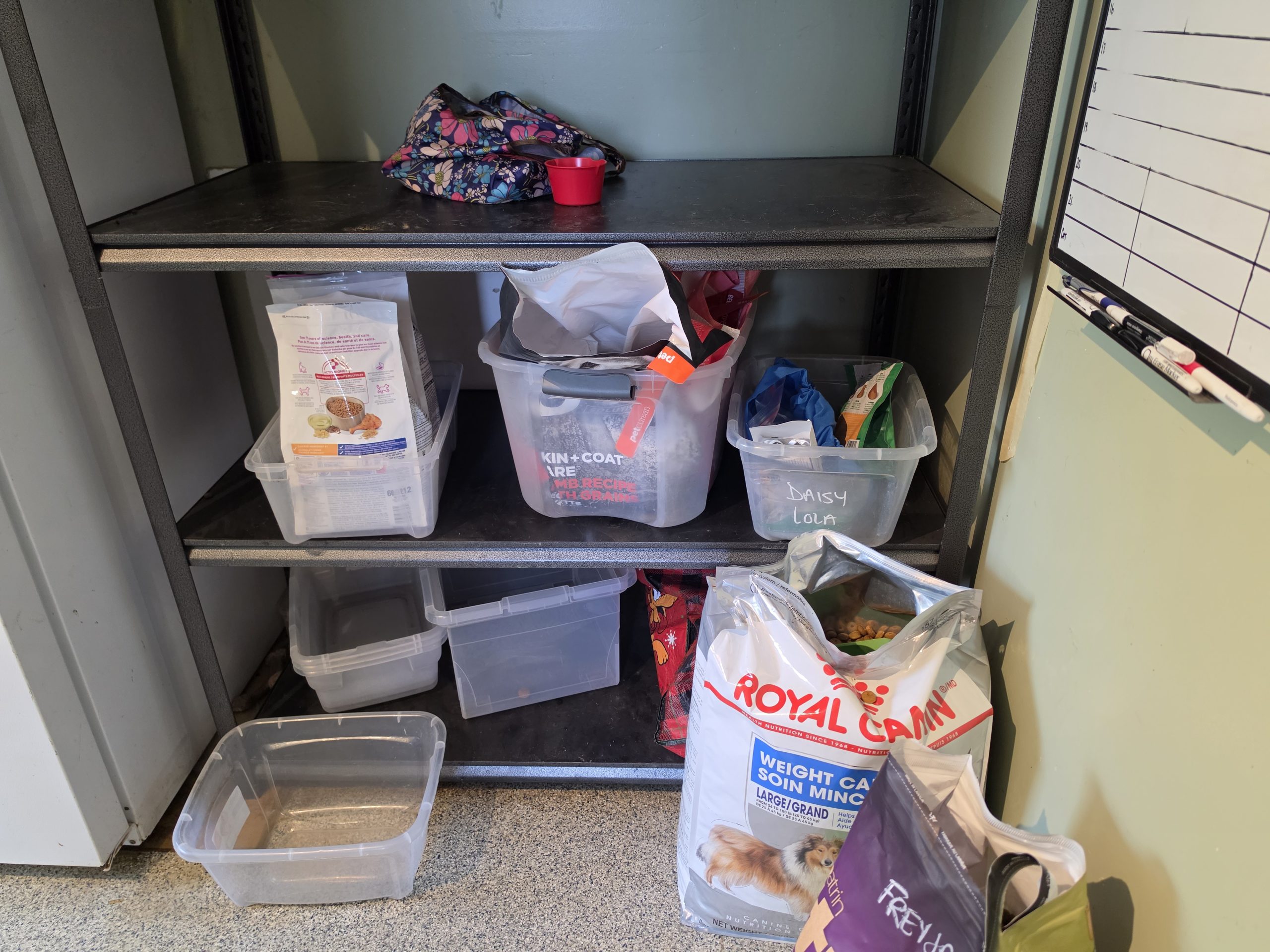 Kennel boarding storage and food management area showing how density affects daily operations