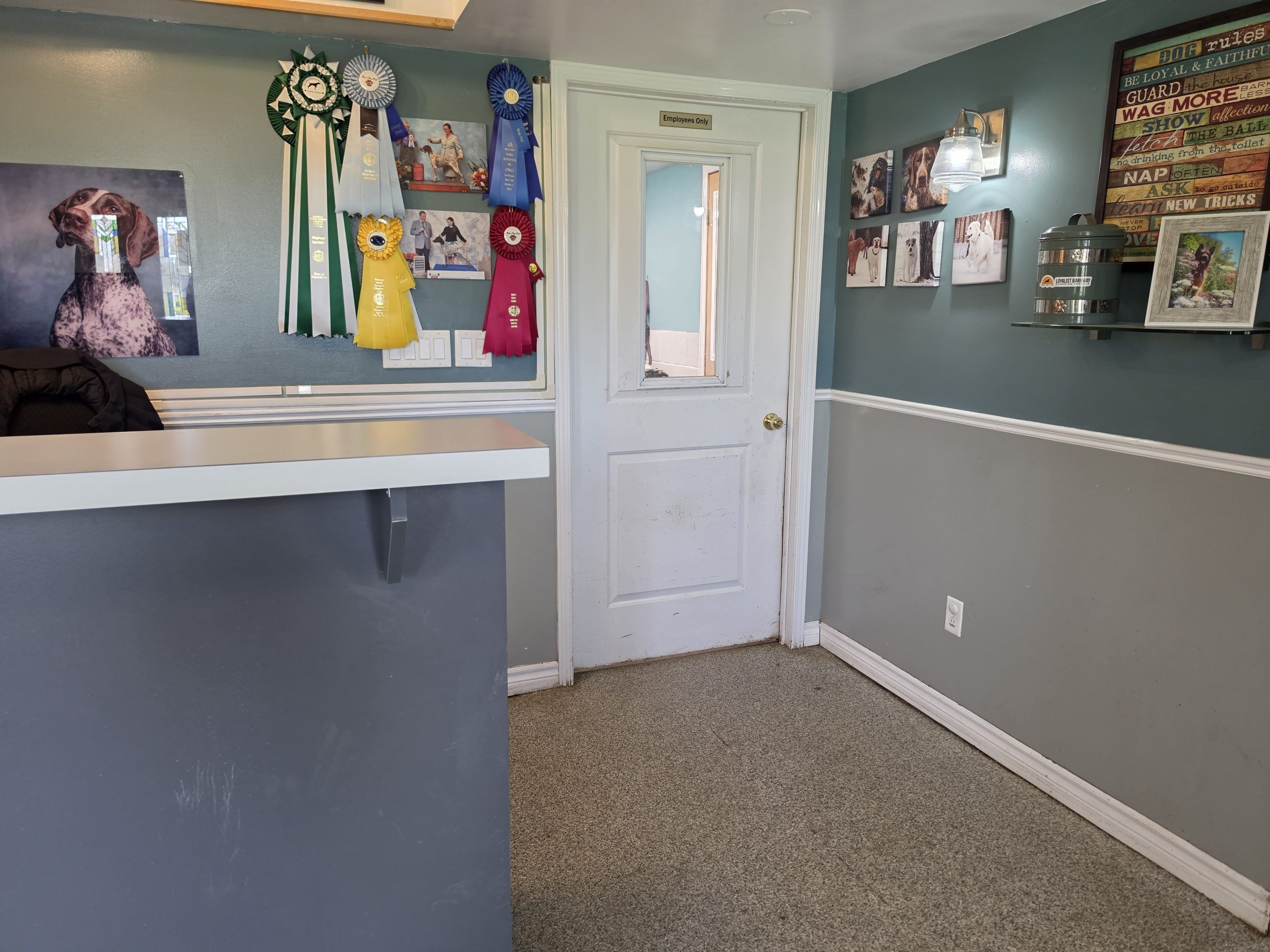 Kennel reception desk showing staff sightlines into the kennel area at Loyalist Barkway