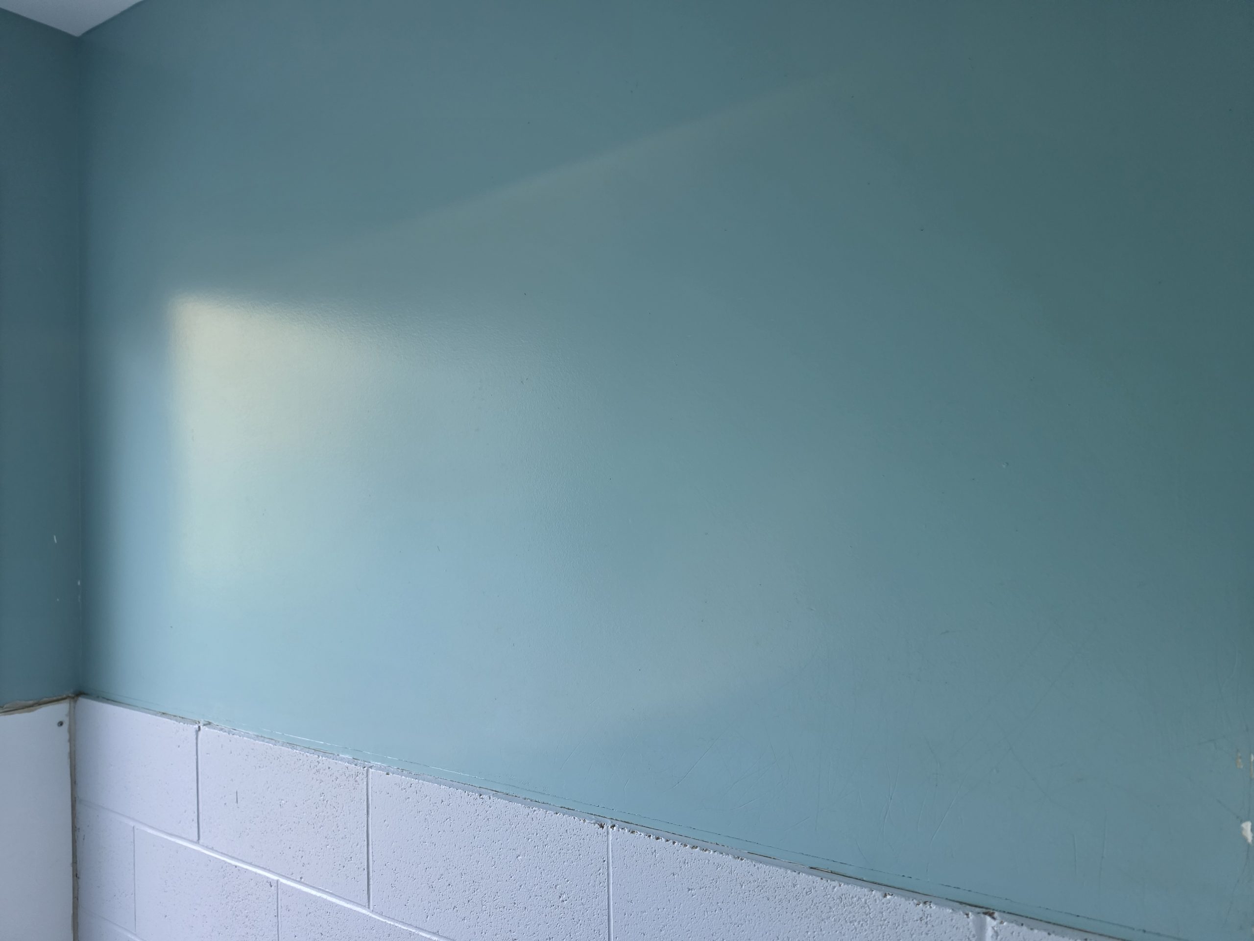Concrete block and drywall kennel wall construction at Loyalist Barkway