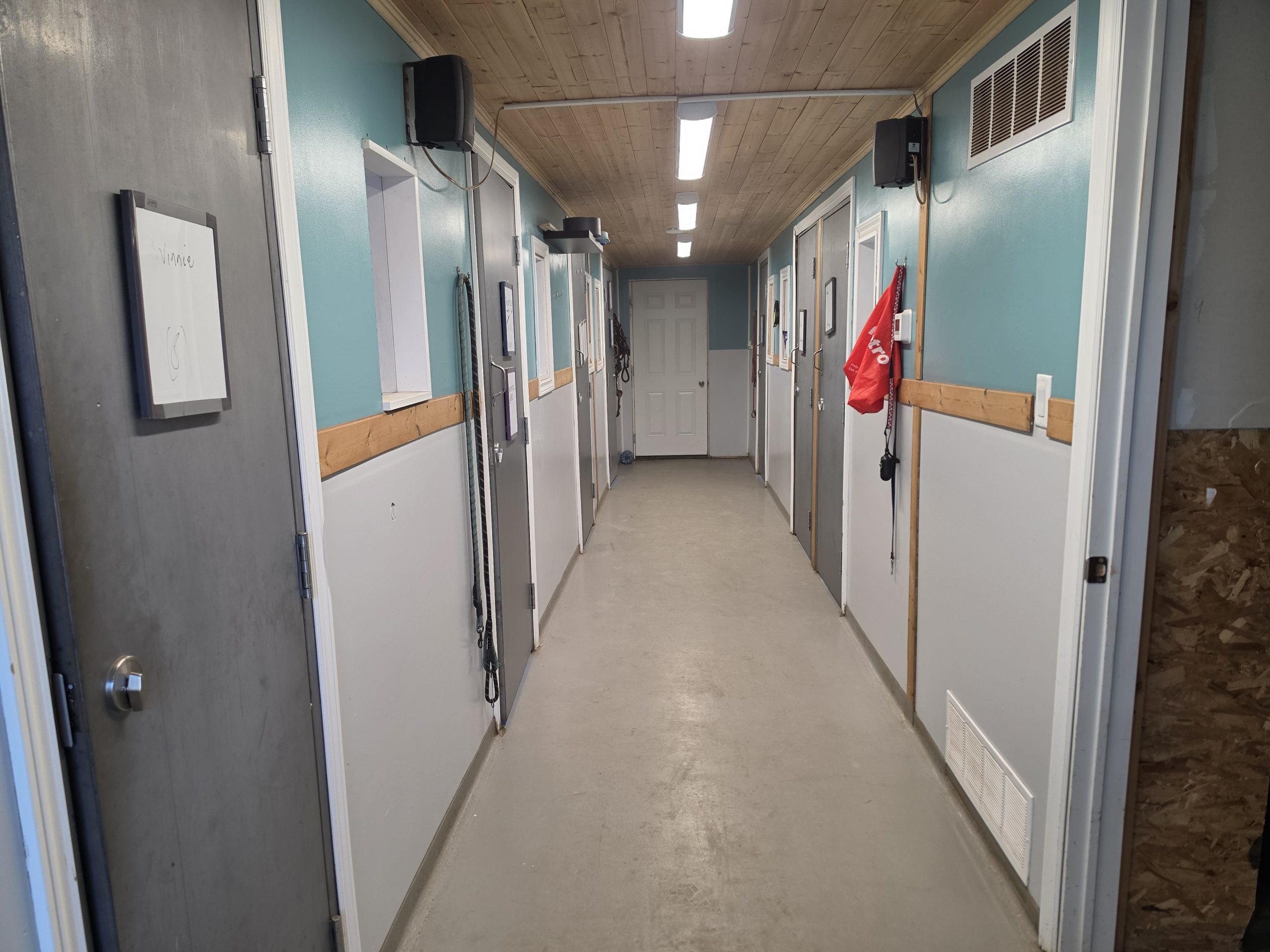 Loyalist Barkway kennel hallway corridor showing the dedicated movement corridor design